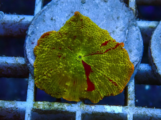 l260605-34