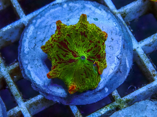 l260605-37
