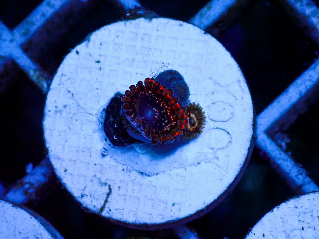 l260627-001