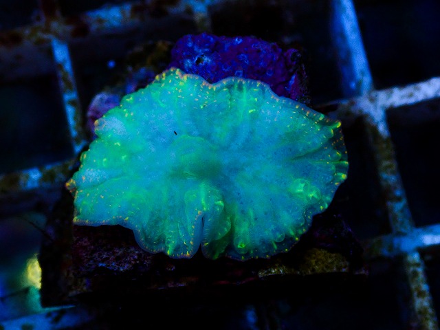 l260627-012