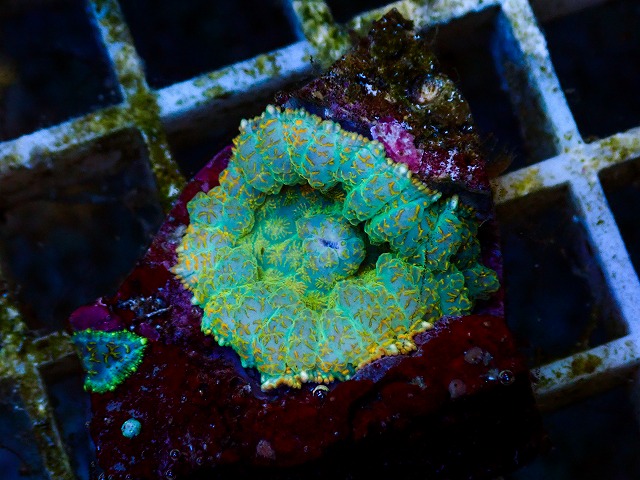 l260627-017