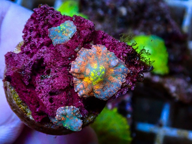 l260627-030