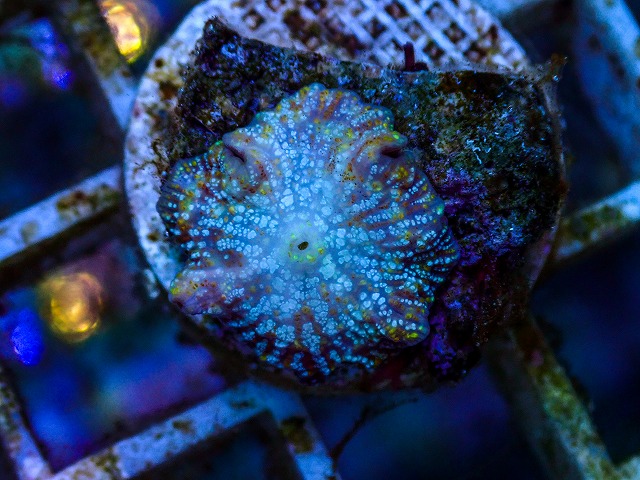l260627-035