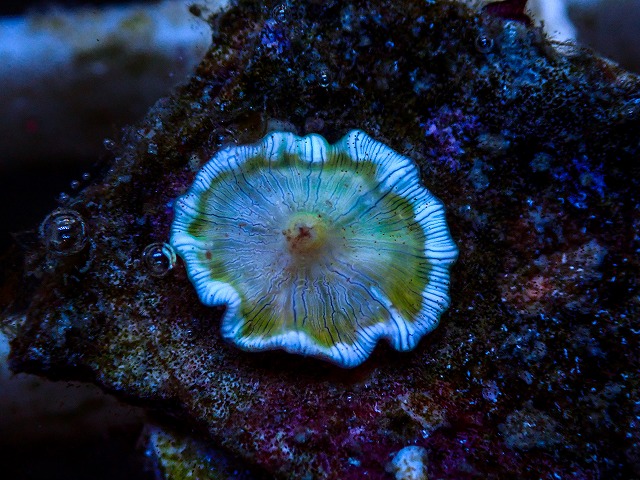l260627-041