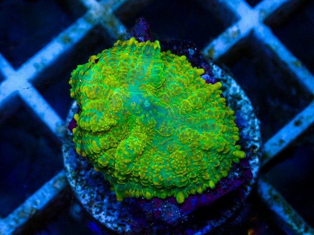 l260627-055