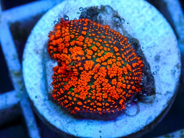 l260627-085