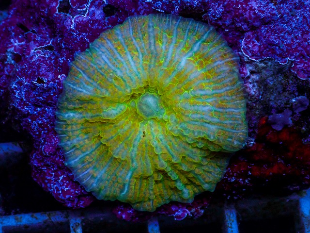 l260627-093