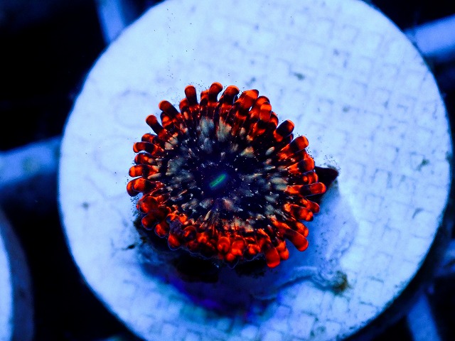 l260627-112