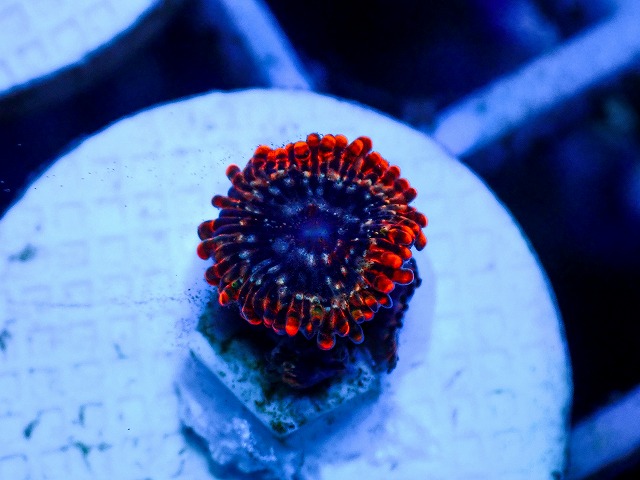 l260627-114