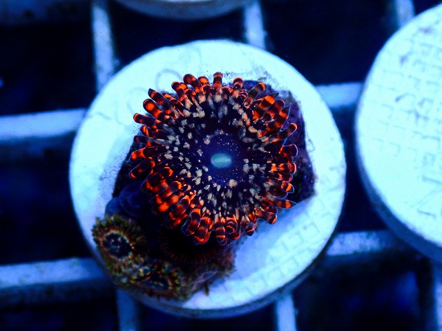 l260627-120