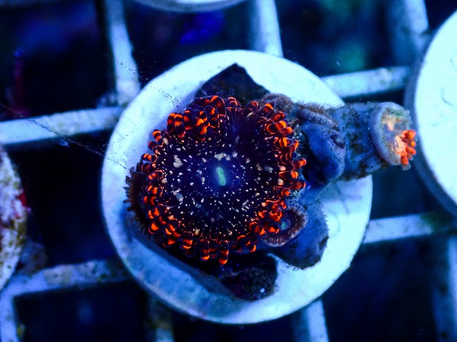 l260627-121