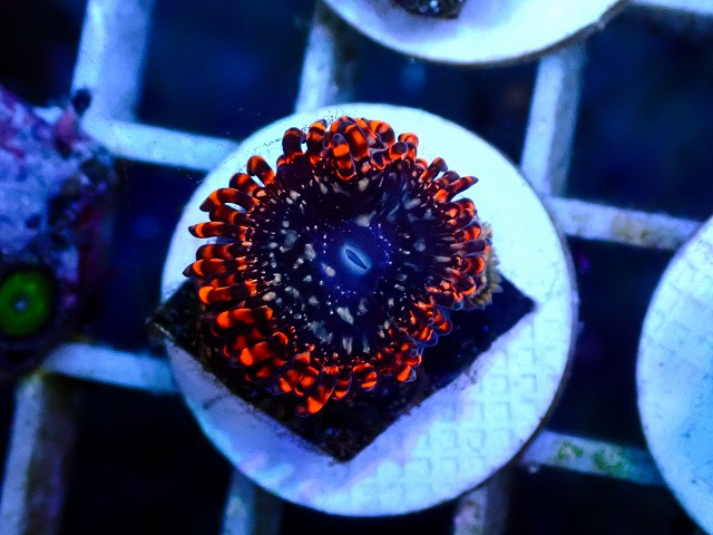 l260627-122