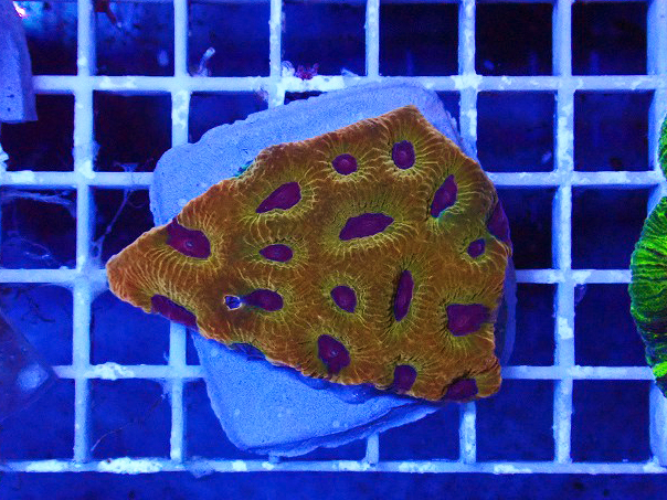 s260605001 (11)