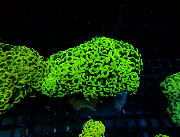 s260605001 (28)