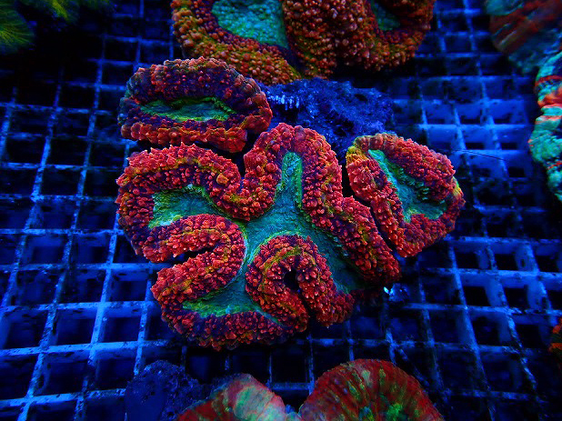 s260605001 (74)