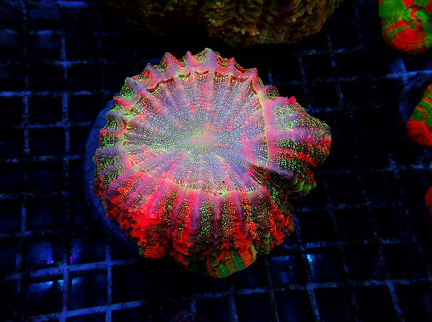 s260605001 (84)