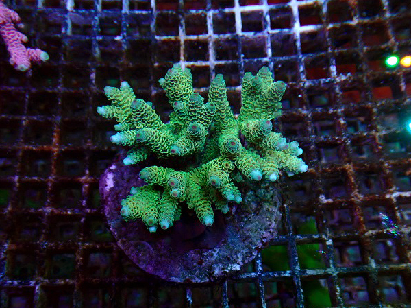 s260606001 (10)