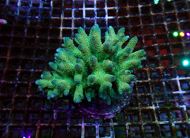 s260606001 (20)