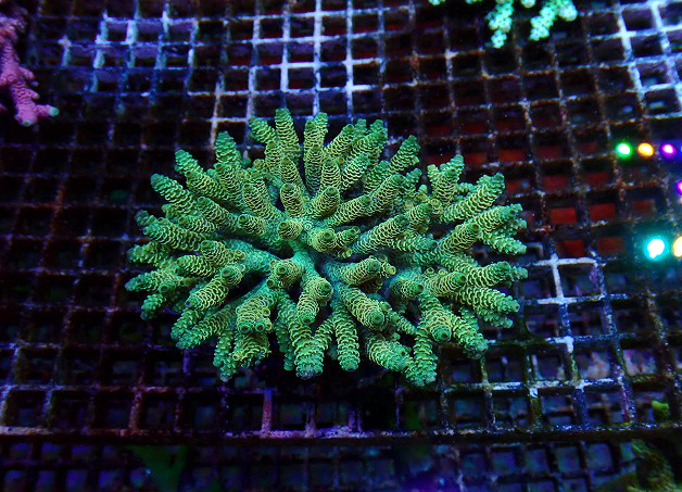 s260606001 (26)