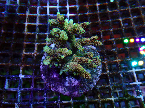 s260606001 (27)