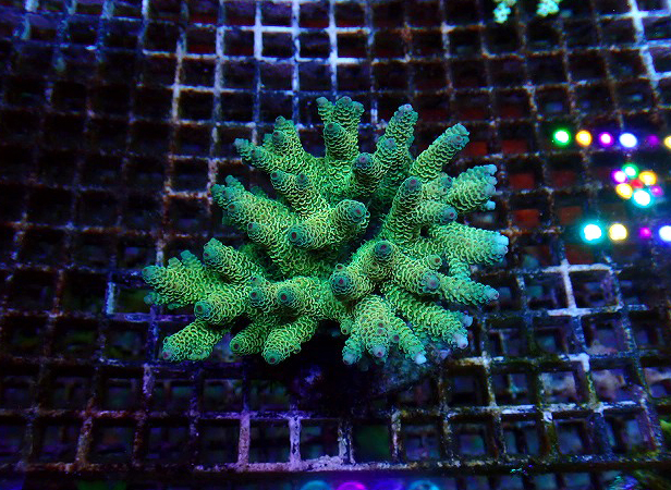 s260606001 (28)