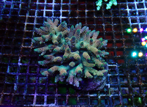 s260606001 (32)
