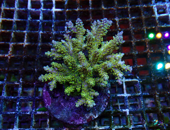 s260606001 (37)