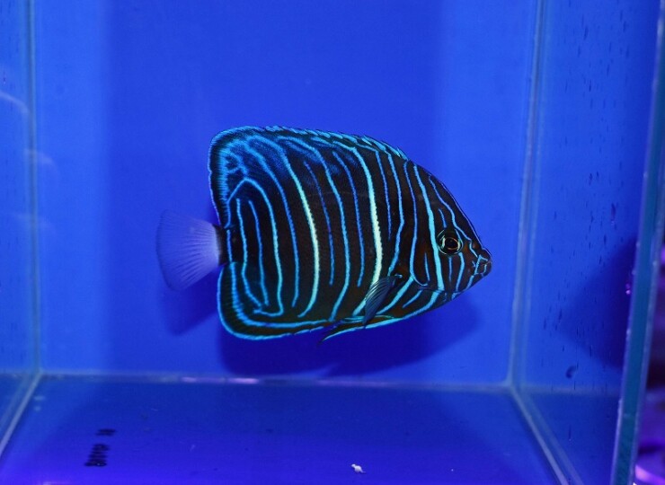 s260611001 (35)