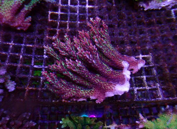 s260613001 (10)
