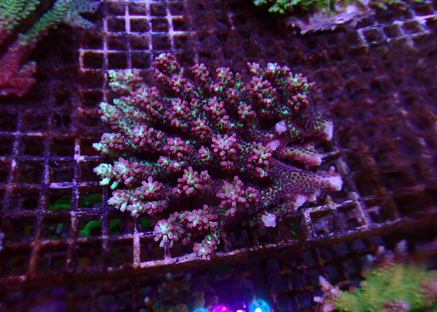 s260613001 (11)