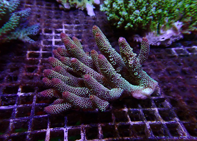 s260613001 (17)