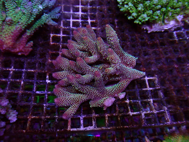 s260613001 (20)
