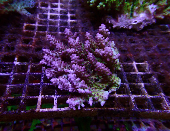 s260613001 (33)