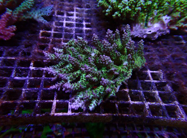 s260613001 (41)