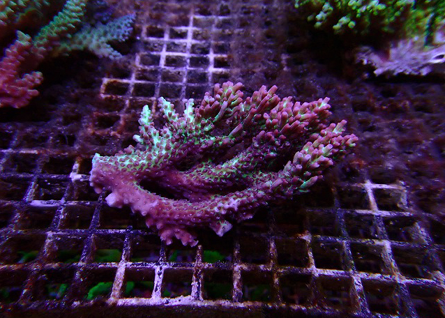 s260613001 (5)