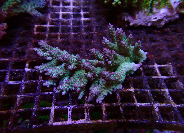 s260613001 (56)