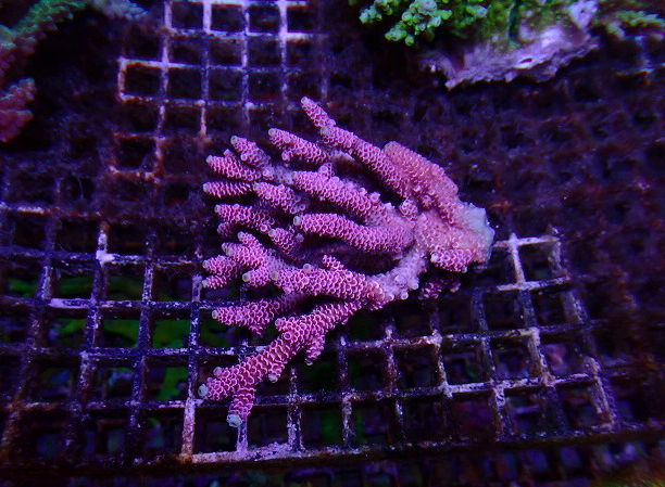s260613001 (61)