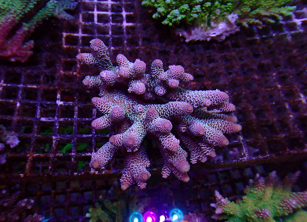 s260613001 (64)