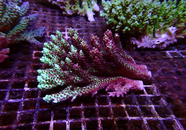 s260613001 (7)