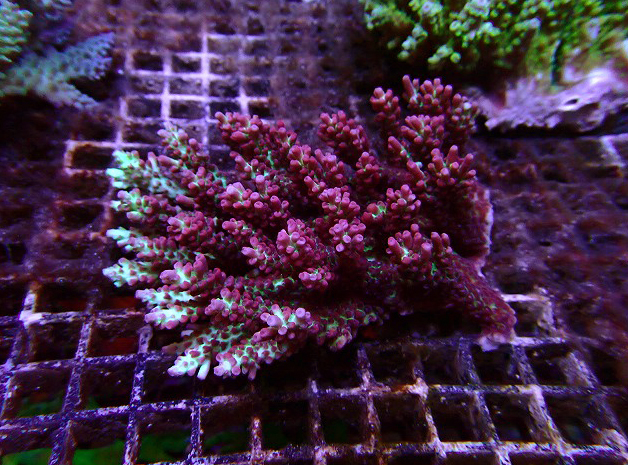 s260613001 (8)