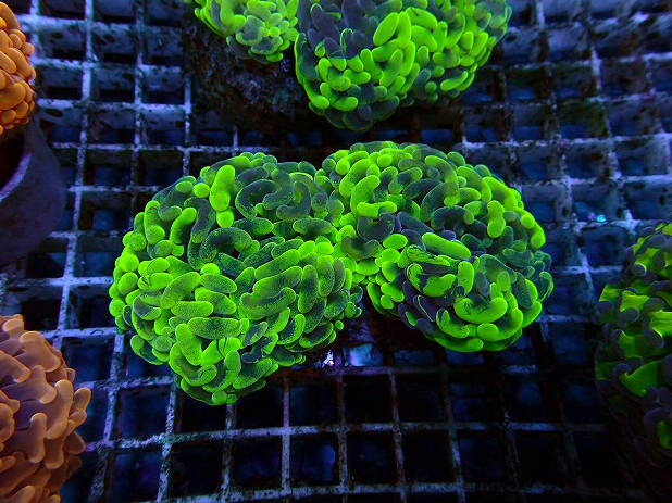 s260614001 (5)