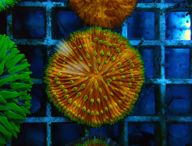 s260614001 (72)