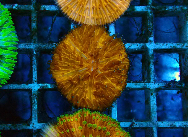 s260614001 (73)