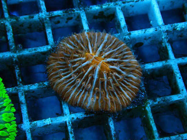 s260614001 (77)