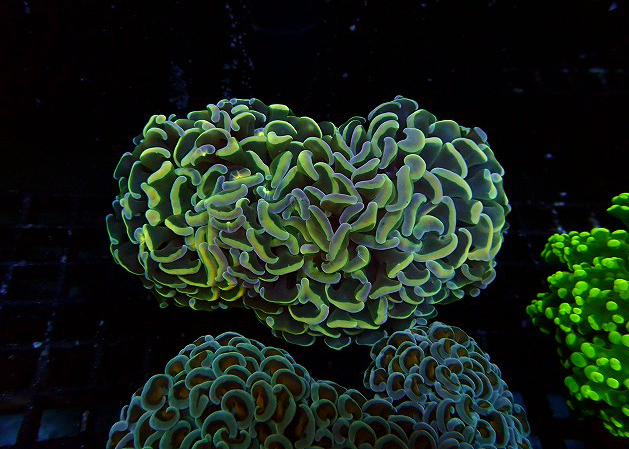 s260619001 (47)
