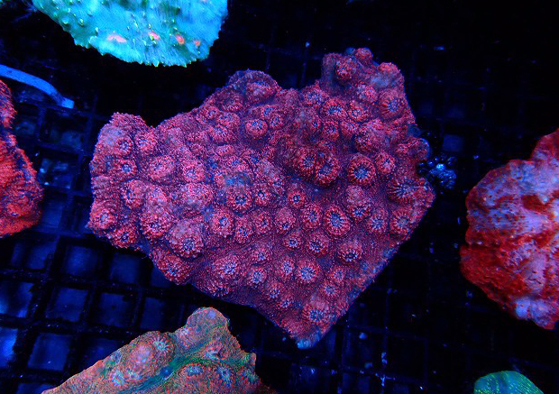 s260619001 (77)