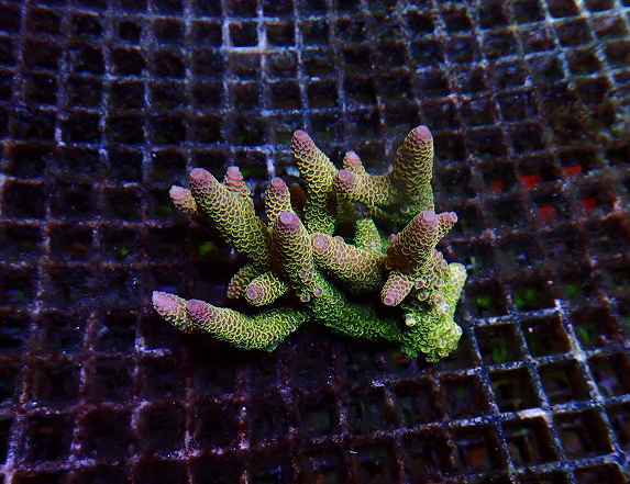 s260627001 (17)