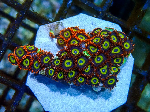 l260705-03