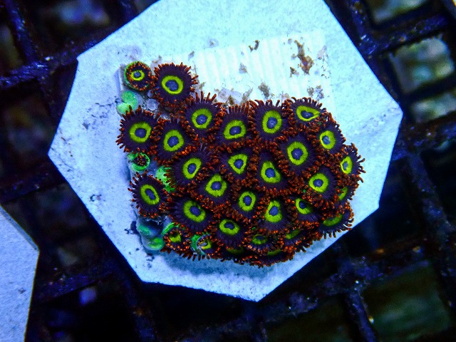 l260705-04