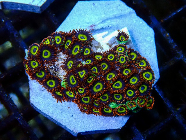 l260705-05